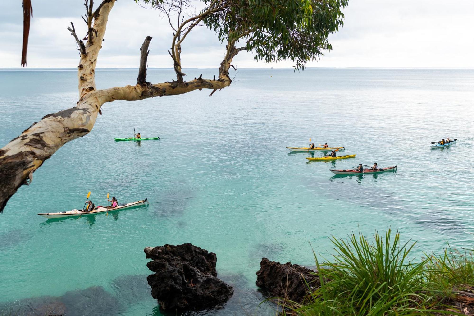 Вилла Bay And Bush Jervis Bay Хаскиссон Экстерьер фото