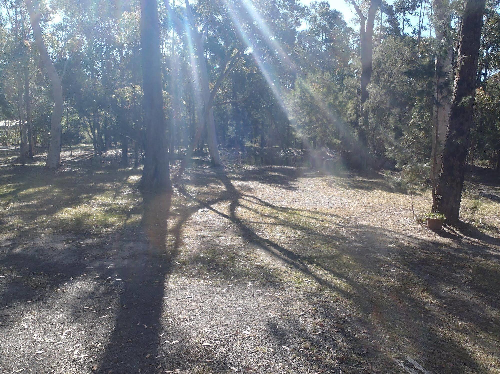 Вилла Bay And Bush Jervis Bay Хаскиссон Экстерьер фото